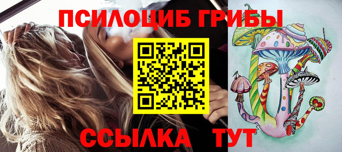 Юрга  Галлюциногенные грибы мицелий  Вход с VPN 